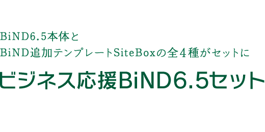 ビジネス応援BiND6.5セット