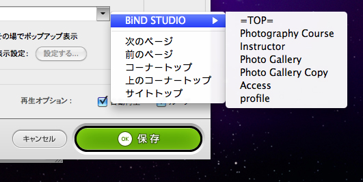 http://www.digitalstage.jp/support/bind5/manual/4-3-02-06.jpg