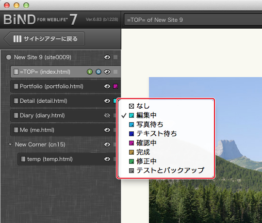 http://www.digitalstage.jp/support/bind7/manual/2_1_2_02.jpg