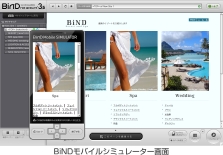 BiND3-5_UI_simulator_WEB.jpg